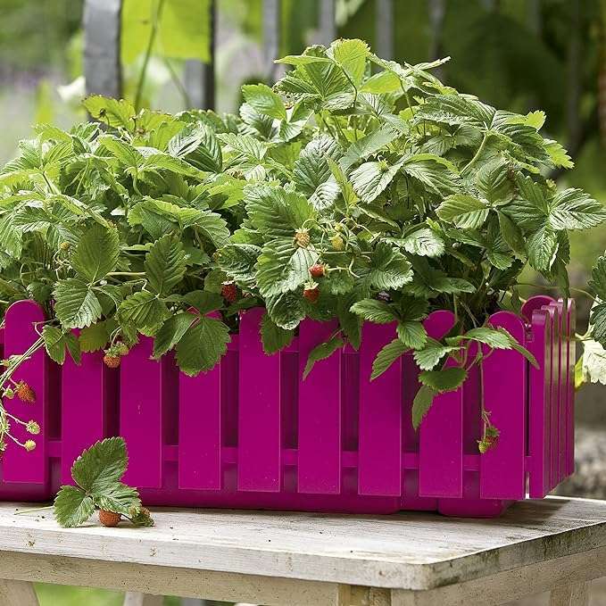 EMSA 508696 Flower Pot – Pink -75 cm- Made in Germany