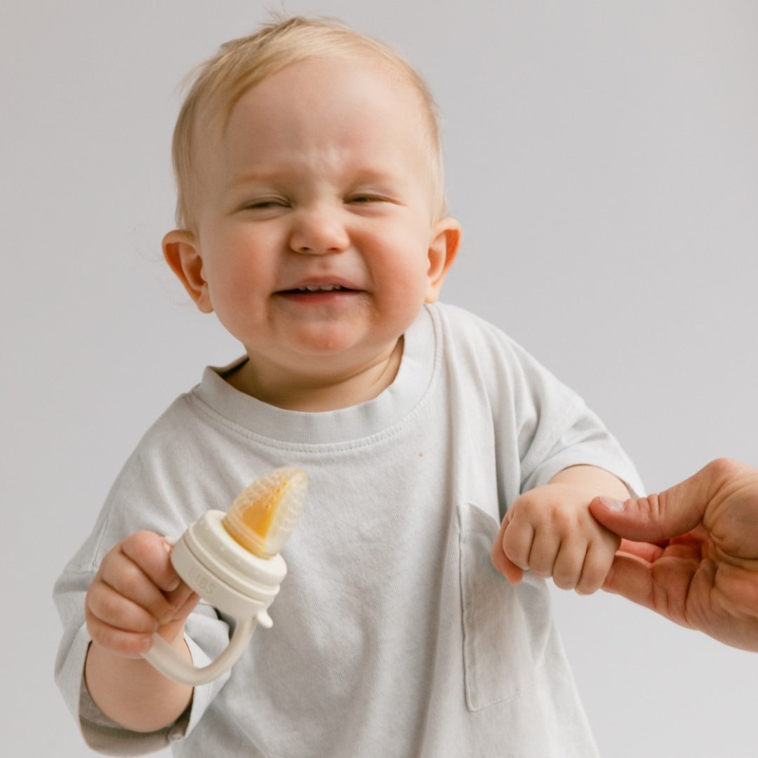 Fruit teat baby feeder