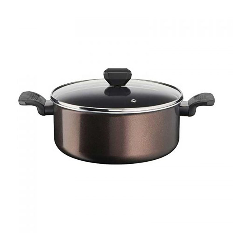 Tefal B5544602 G6 Easy Cook & Clean Stewpot 24Cm + Glass Lid