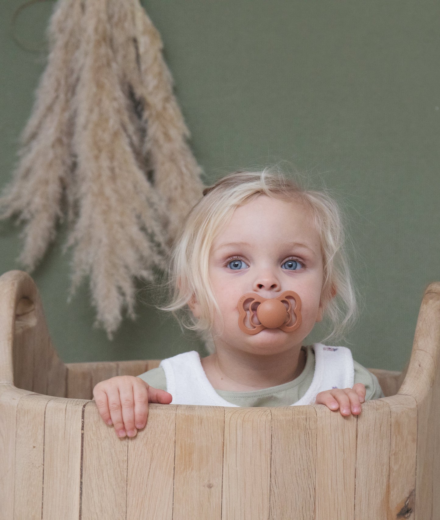 BIBS SUPREME 2 PACK SILICONE S1 HAZE/CAR