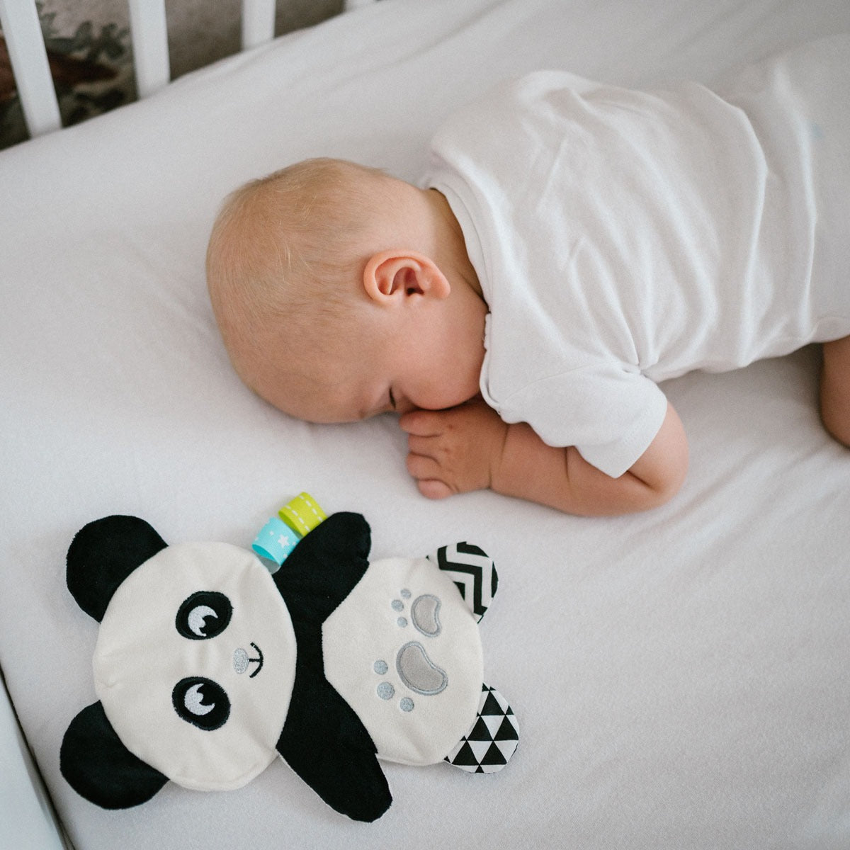 Panda Polly