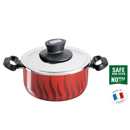 Tefal C3044583 Tempo Flame – Stewpot 22 + Ss Lid