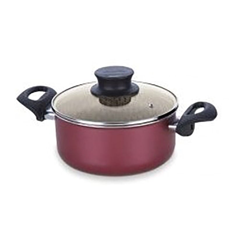 Tefal C5484483 New Tempo Flame Dutch Oven 20 + SS Lid
