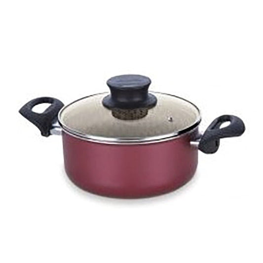 Tefal C5484483 New Tempo Flame Dutch Oven 20 + SS Lid