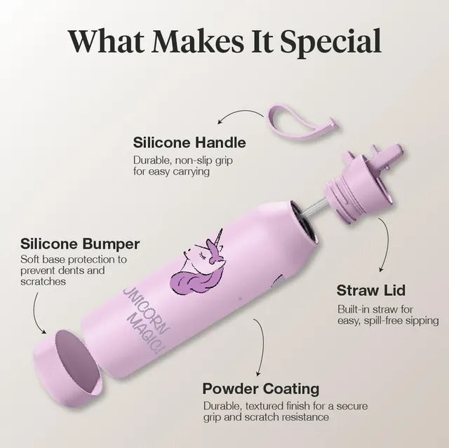 Citron - Spaceship Stainless Steel Water Bottle - 500ml