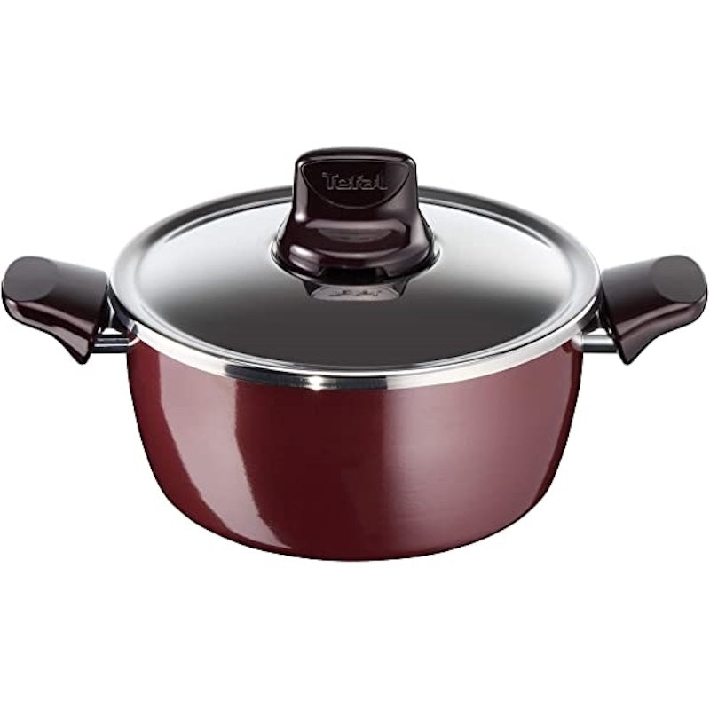 Tefal Pleasure Stewpan 24cm & Lid (D502701)