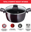 Tefal D5224582 Resist Intense – Stewpot 22cm + Glass Lid