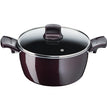 Tefal D5224582 Resist Intense – Stewpot 22cm + Glass Lid