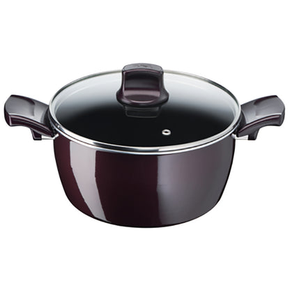 Tefal D5224582 Resist Intense – Stewpot 22cm + Glass Lid