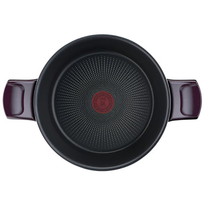 Tefal D5224682 Resist Intense – Stewpot 24cm + Glass Lid