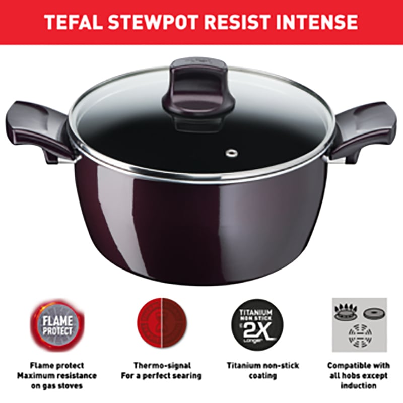 Tefal D5224682 Resist Intense – Stewpot 24cm + Glass Lid