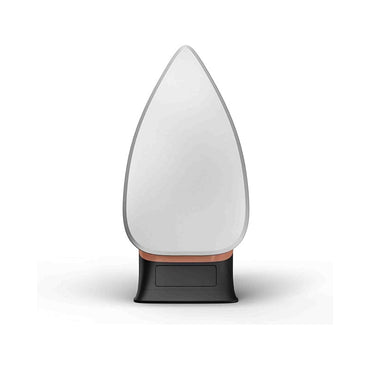 Tefal FS3110M0 Classical Plus Dry Iron