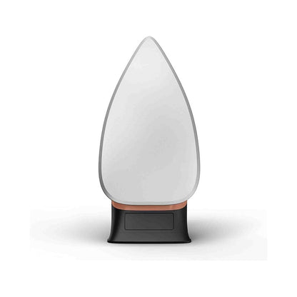 Tefal FS3110M0 Classical Plus Dry Iron