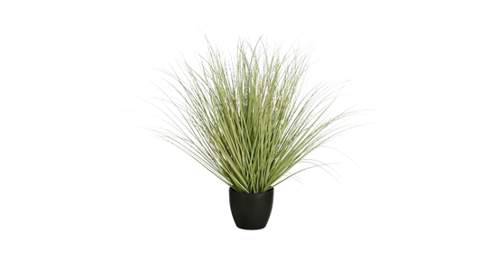 Grass Green in Plastic Pot - Height 68 cm