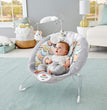 Fisher-Price MTFPGWD50 Soft Cuddle Bouncer with Music/Vibrations