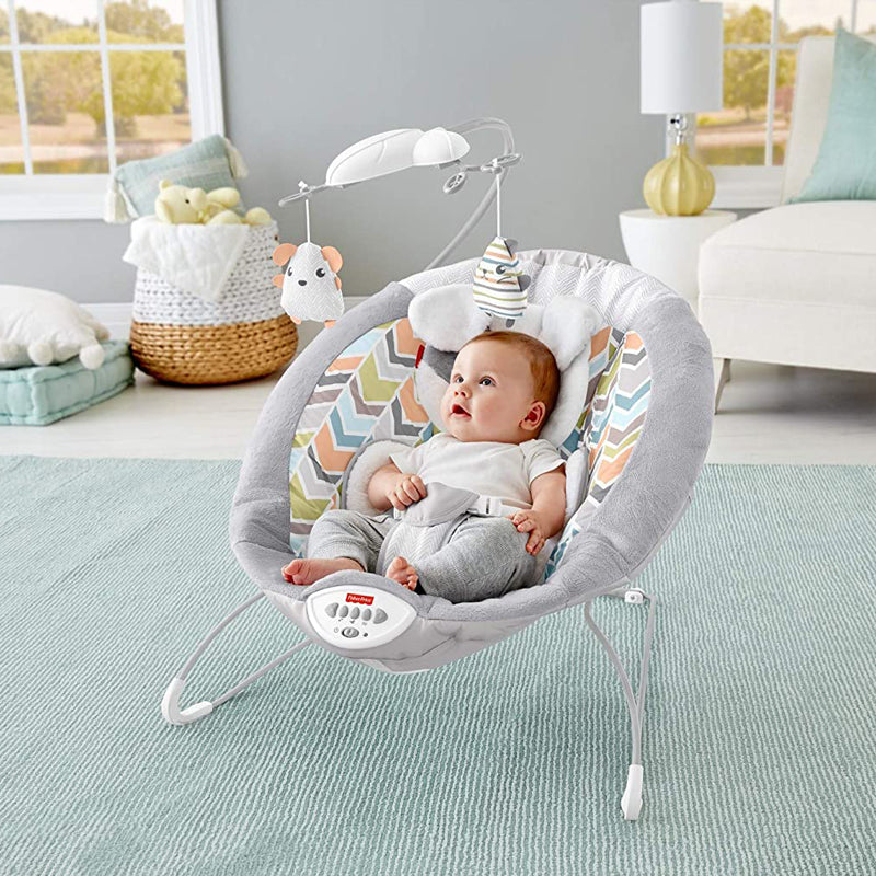 Fisher-Price MTFPGWD50 Soft Cuddle Bouncer with Music/Vibrations