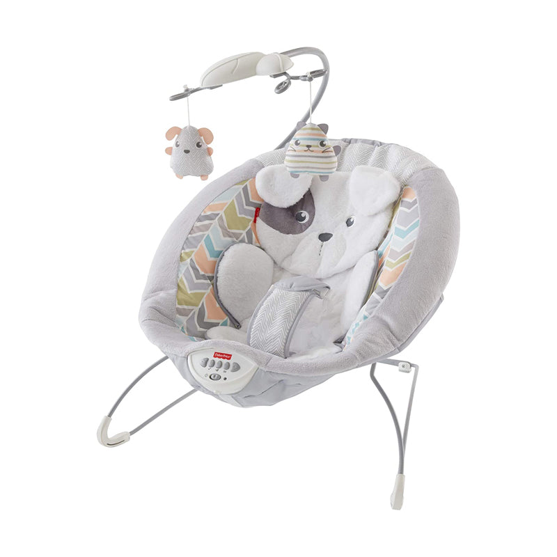 Fisher-Price MTFPGWD50 Soft Cuddle Bouncer with Music/Vibrations
