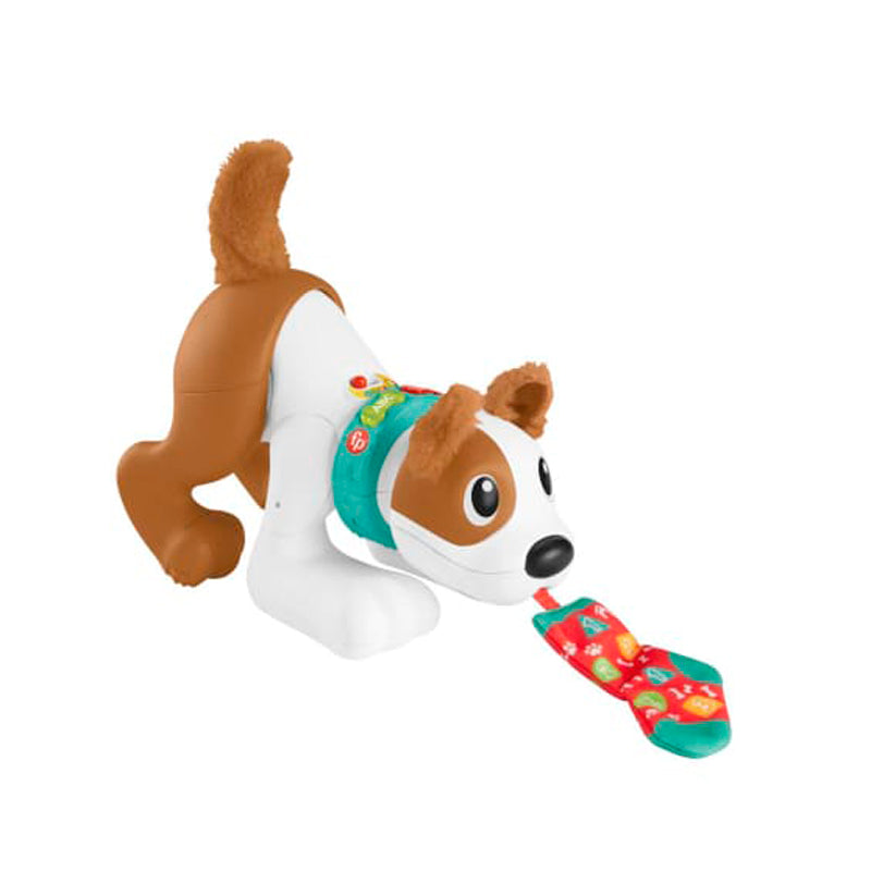 Fisher-Price MTFPHHH14 123 Crawl With Me Puppy