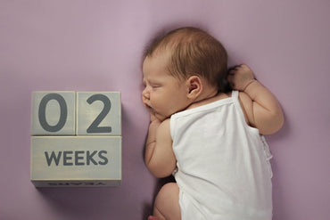 Wooden Milestone Age Blocks