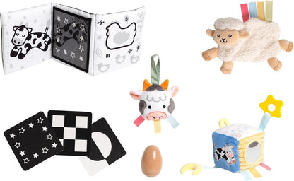 Learning Kit for Babies 0-6 M