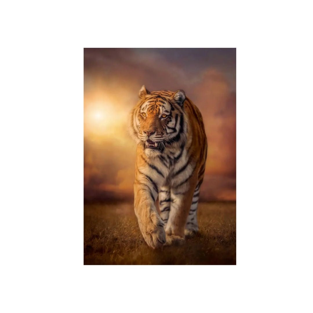 Clementoni Tiger Puzzle