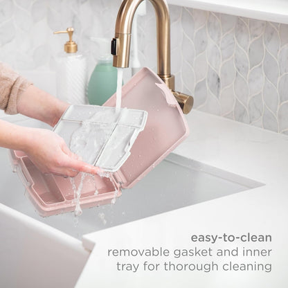 Bento Lunch Box for Kids