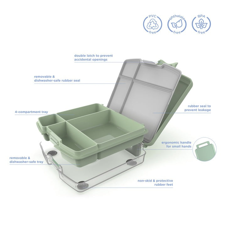 Bento Box Sugar Snap