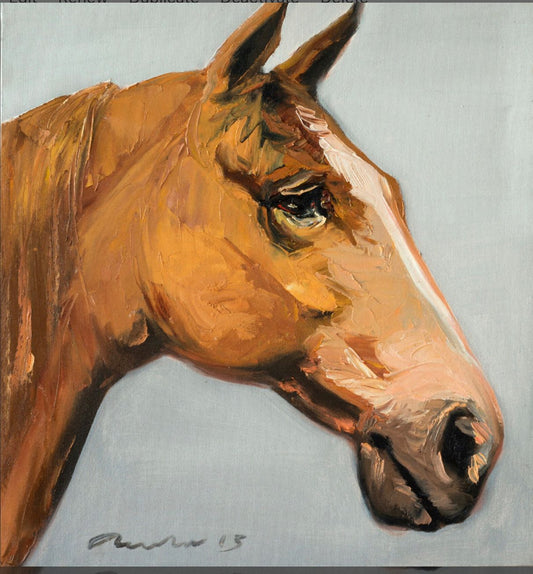 Brown Horse Head