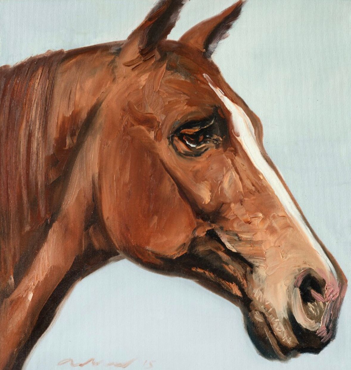 Brown Horse Head 2