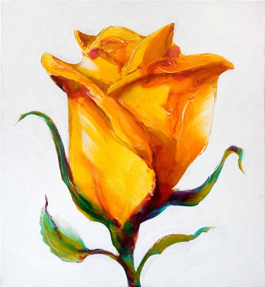 Yellow Rose Series