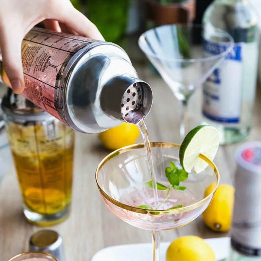 Danny Home Glass with Stainless Steel Cocktail Shaker 450ml