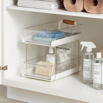 Danny Home Everything Organizer 2-Drawer Cabinet Organizer