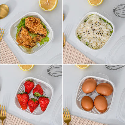 Frozen Storage Containers, Rice, Serving