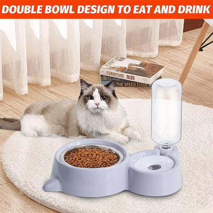 Double Pet Bowls with Automatic Water Dispenser