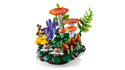 Woodland Mushrooms