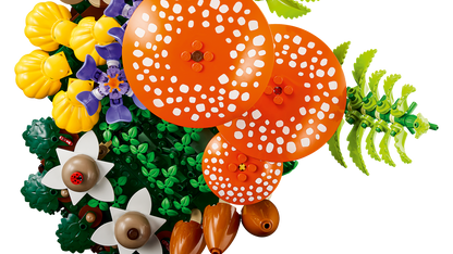 Woodland Mushrooms