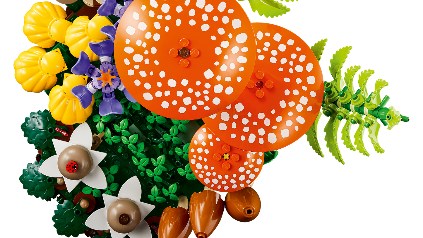 Woodland Mushrooms