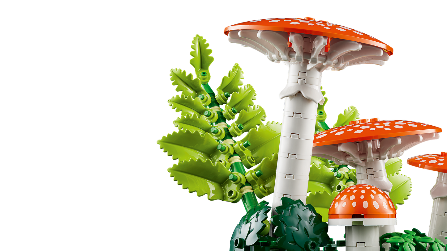 Woodland Mushrooms
