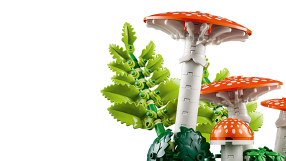 Woodland Mushrooms