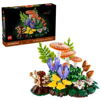 Woodland Mushrooms