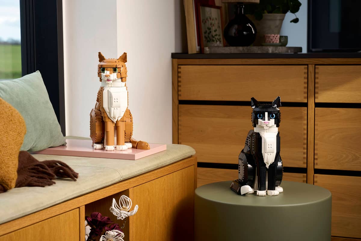 Lego Orange Cat (21376)