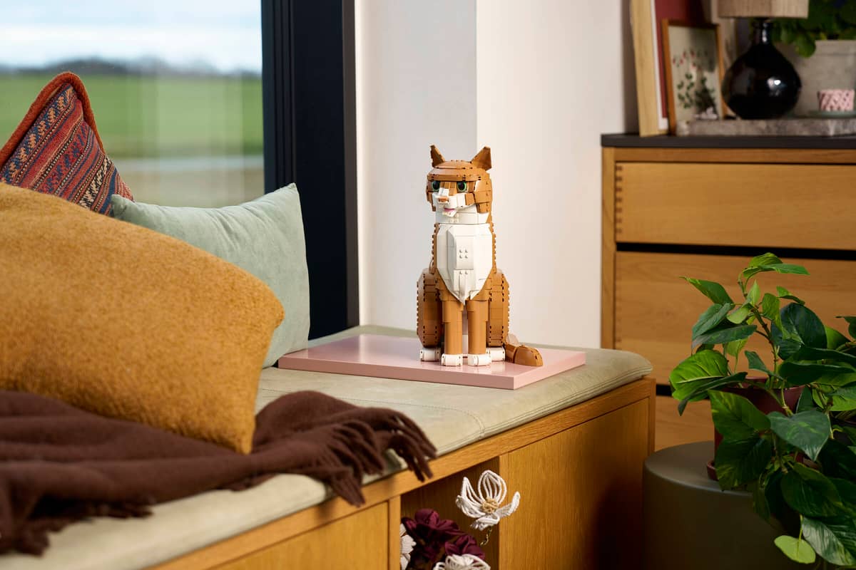 Lego Orange Cat (21376)