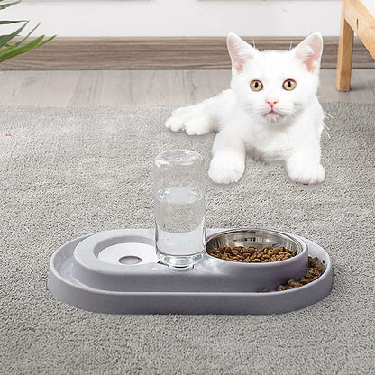 Double Pet Bowls with Automatic Water Dispenser