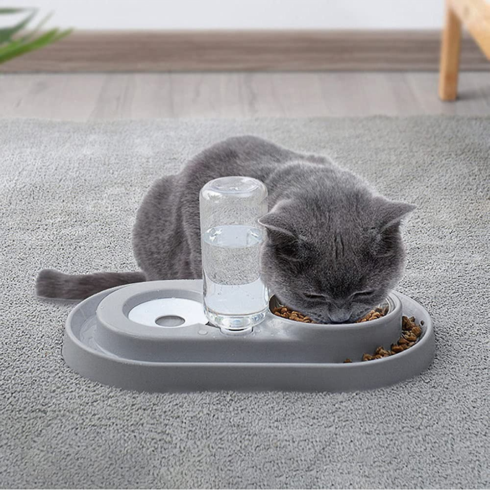Double Pet Bowls with Automatic Water Dispenser