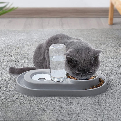 Double Pet Bowls with Automatic Water Dispenser