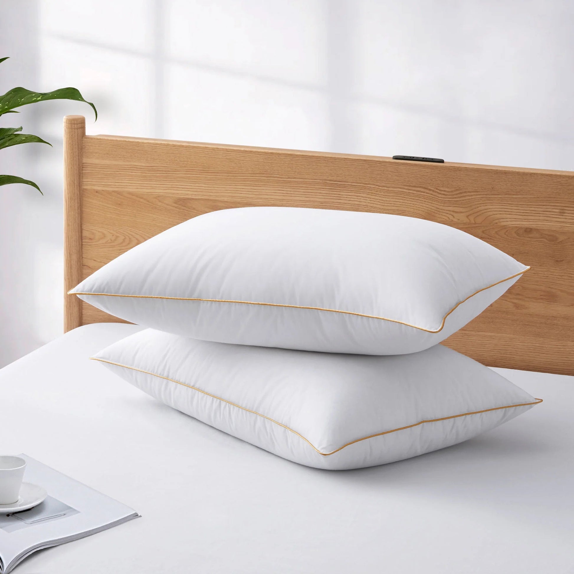 Pillow Goose Down-Feather