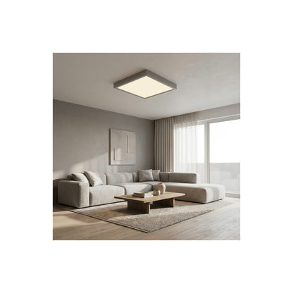 Nino PUCCY Ceiling Light LED