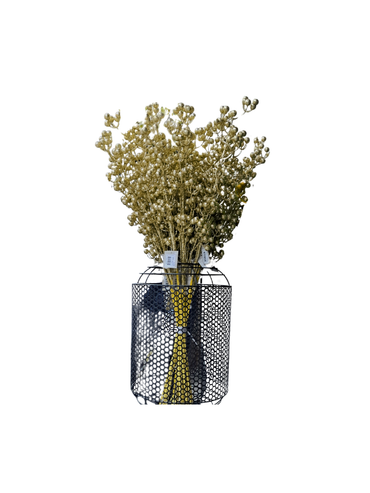 Holiday Elegance – Berryspray Gold Decoration- l80cm