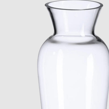 Danny Home Clear Glass Plant Vase 20-cm