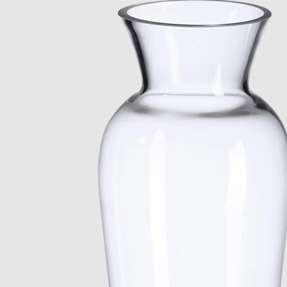 Danny Home Clear Glass Plant Vase 25-cm